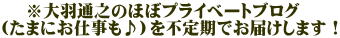 　 ※大羽通之のほぼプライベートブログ （たまにお仕事も♪）を不定期でお届けします！